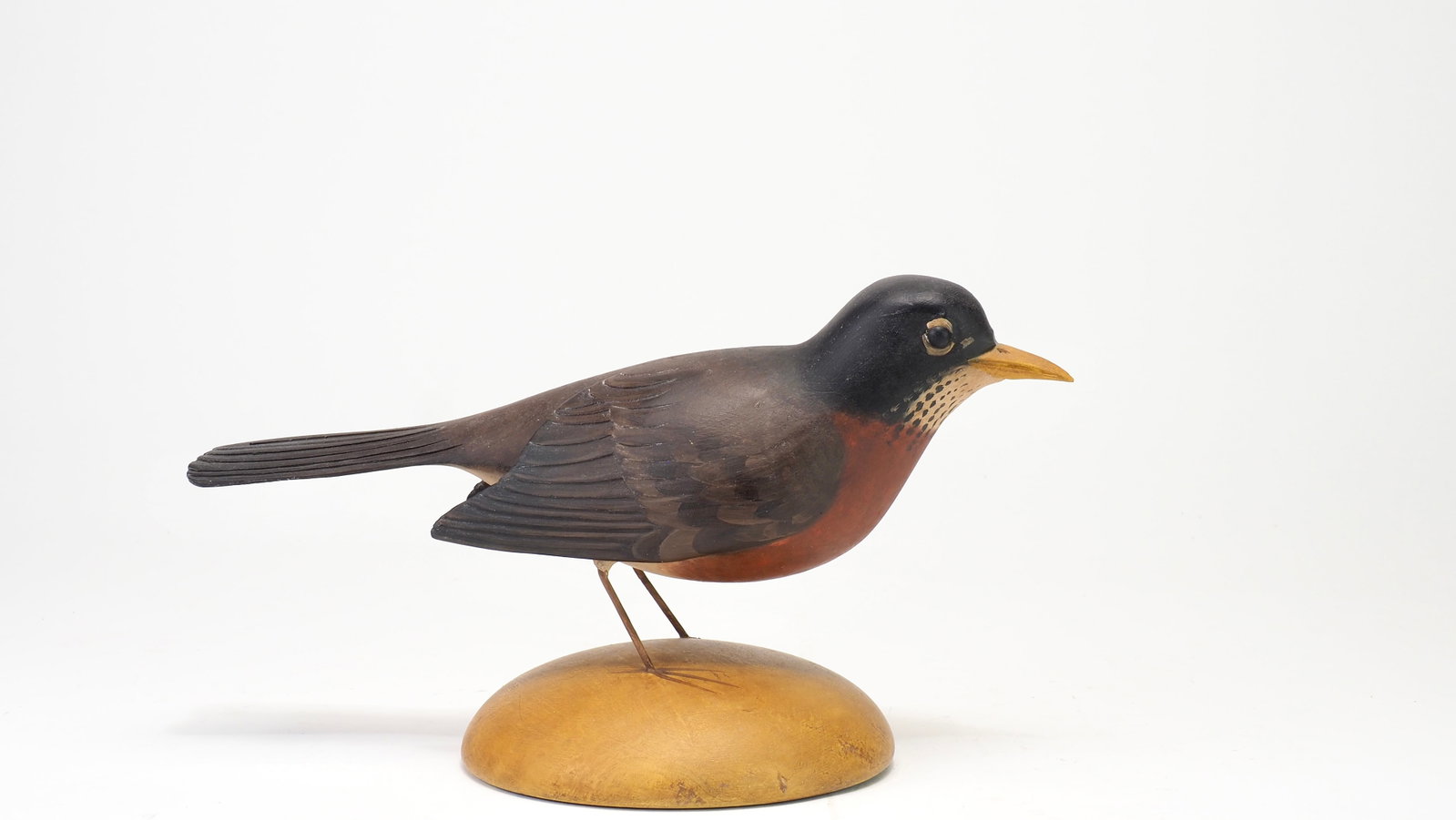 Frank Finney - Robin (1 of 6)