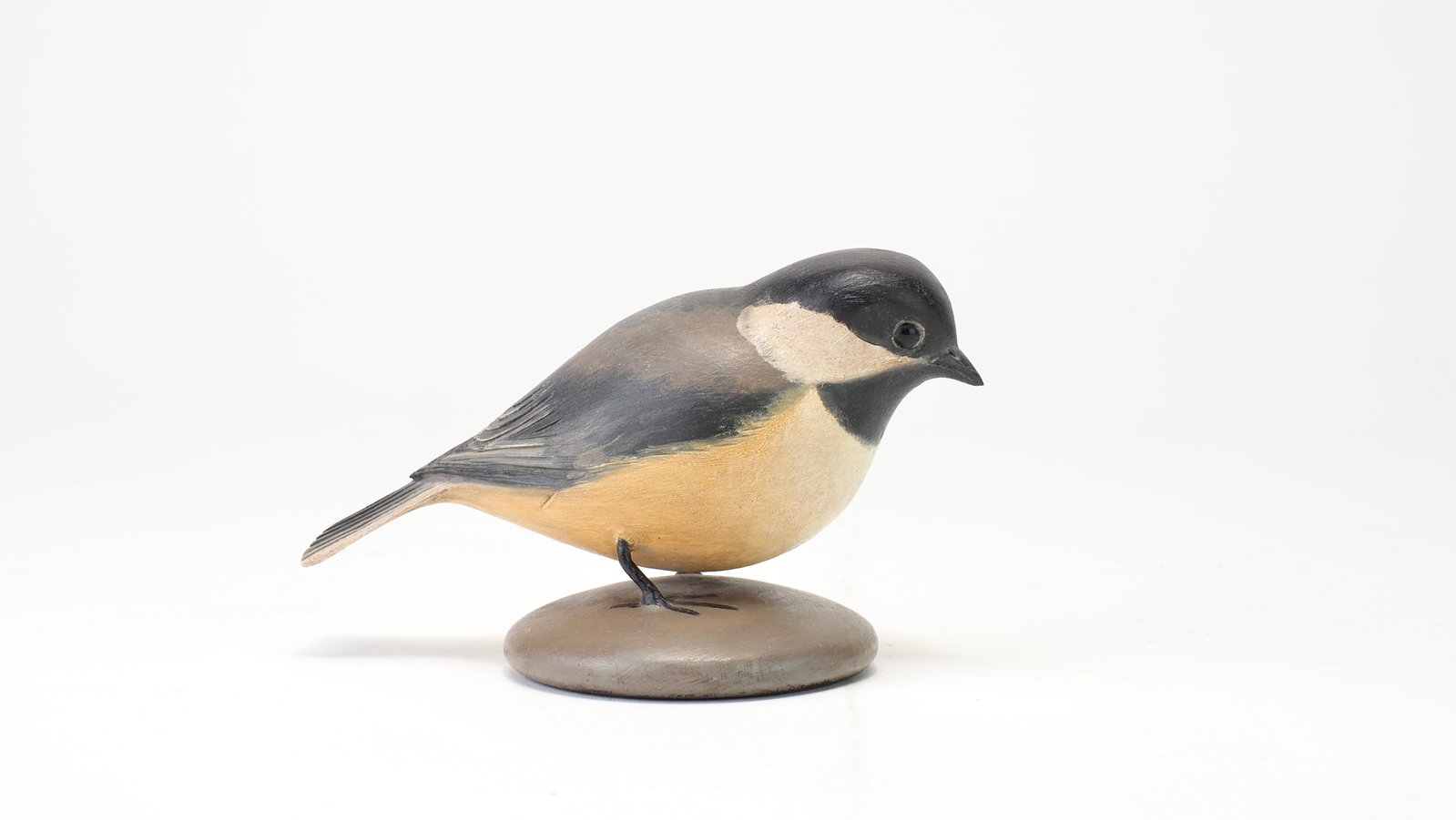 Frank Finney - Plump Black-Capped Chickadee (1 of 6)