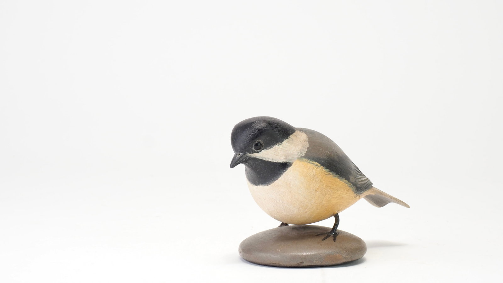 Frank Finney - Plump Black-Capped Chickadee - 2