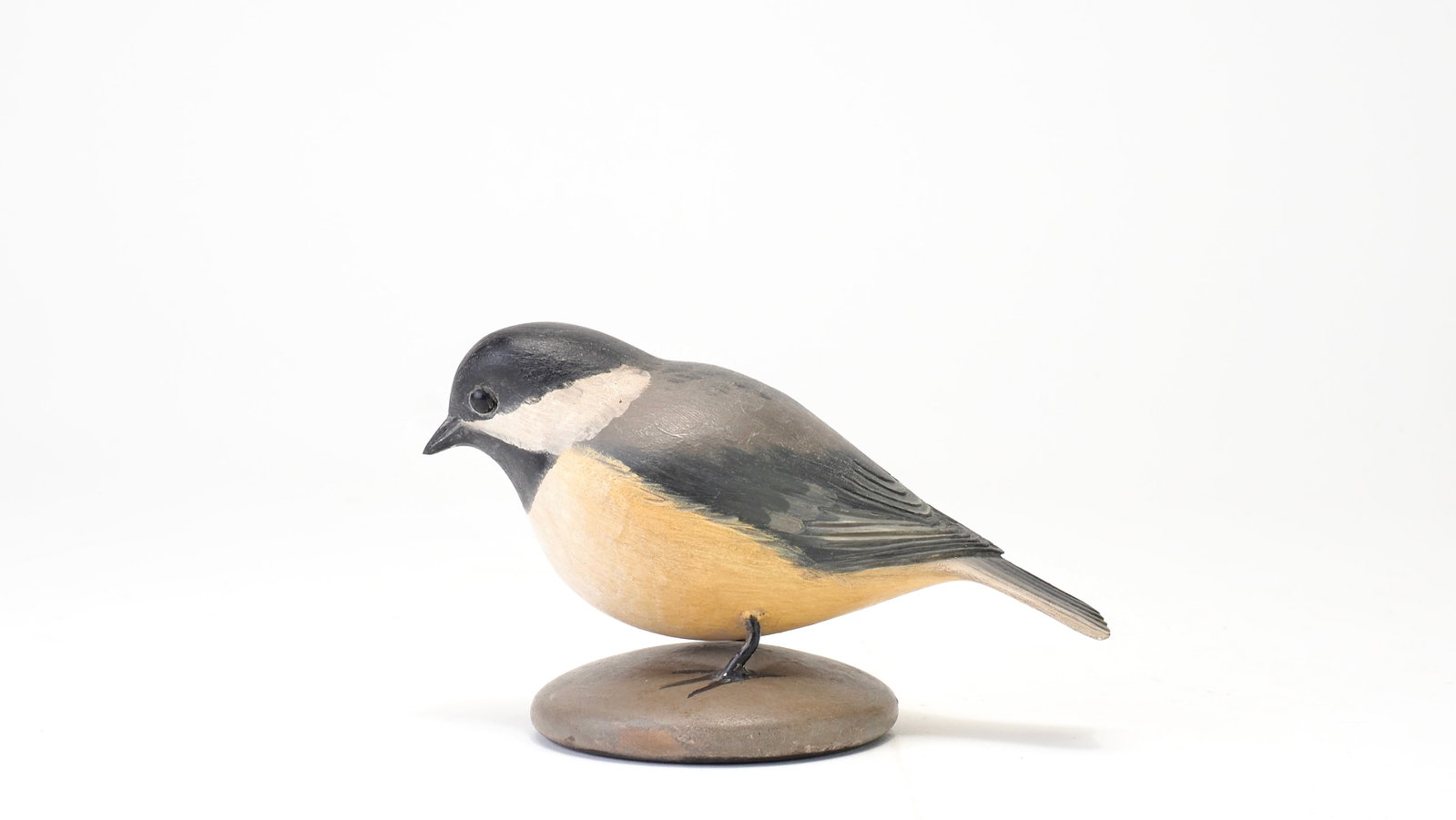 Frank Finney - Plump Black-Capped Chickadee - 3