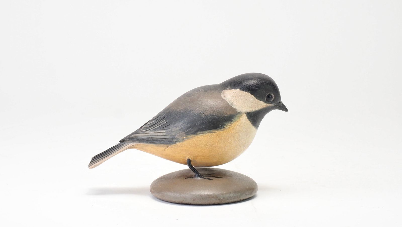 Frank Finney - Plump Black-Capped Chickadee - 5