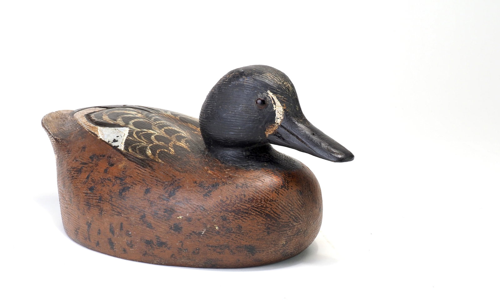 Ken Anger - Bluewing Teal Drake - 2