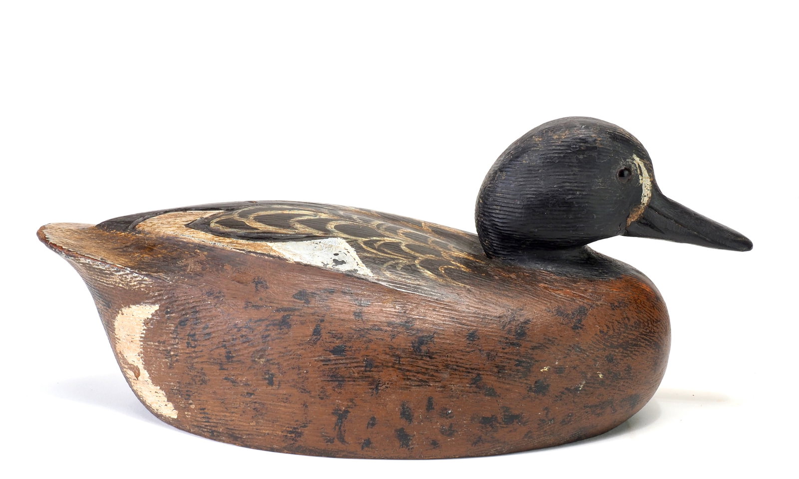 Ken Anger - Bluewing Teal Drake - 3