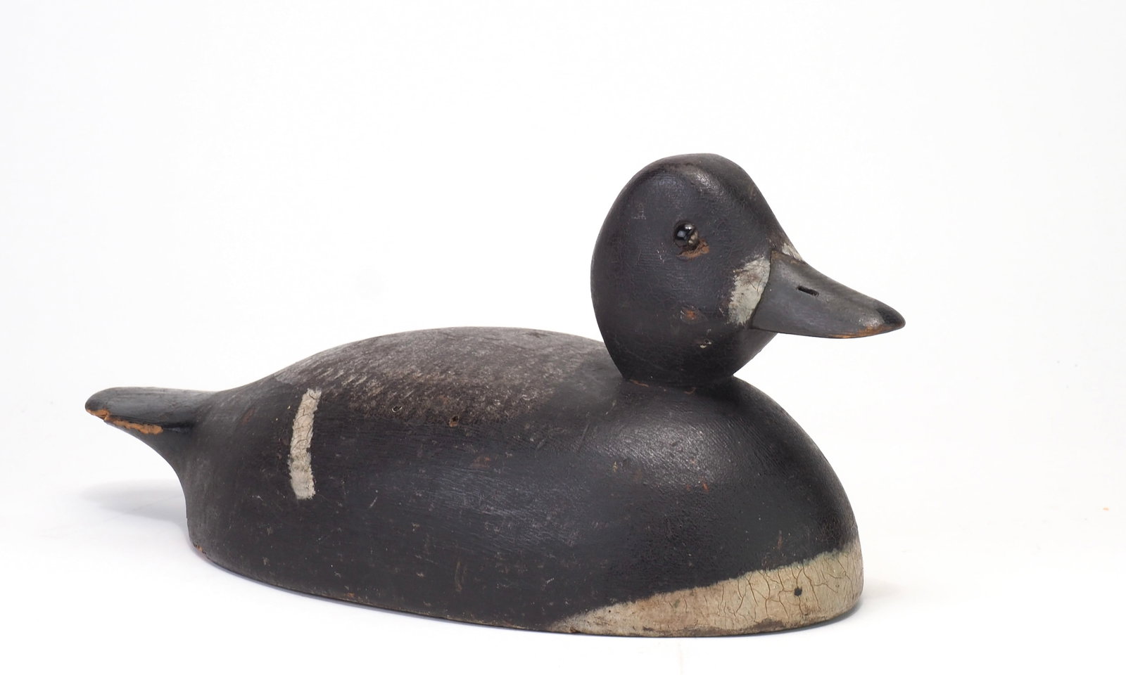 Robert Norman - Blue Bill Hen - 2