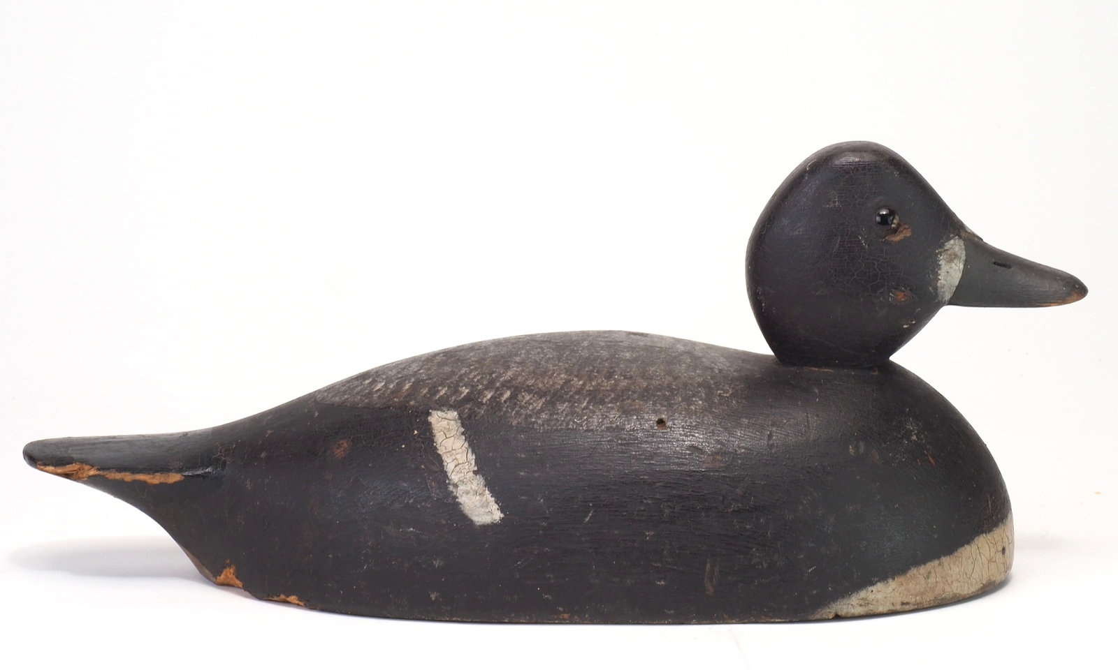 Robert Norman - Blue Bill Hen - 3