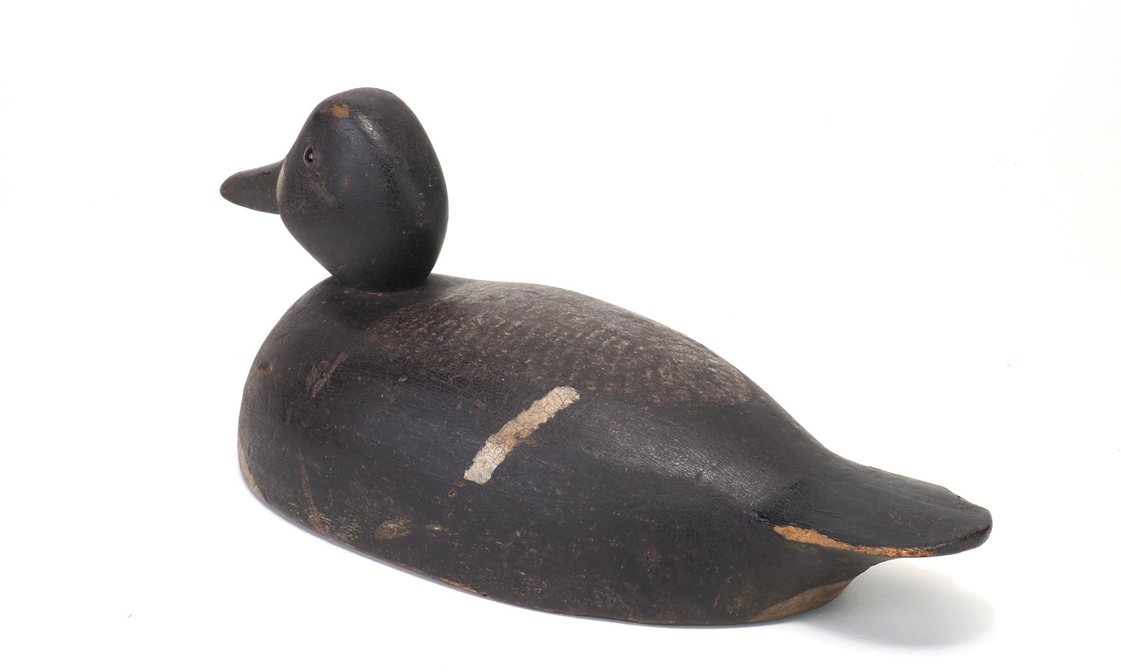 Robert Norman - Blue Bill Hen - 4