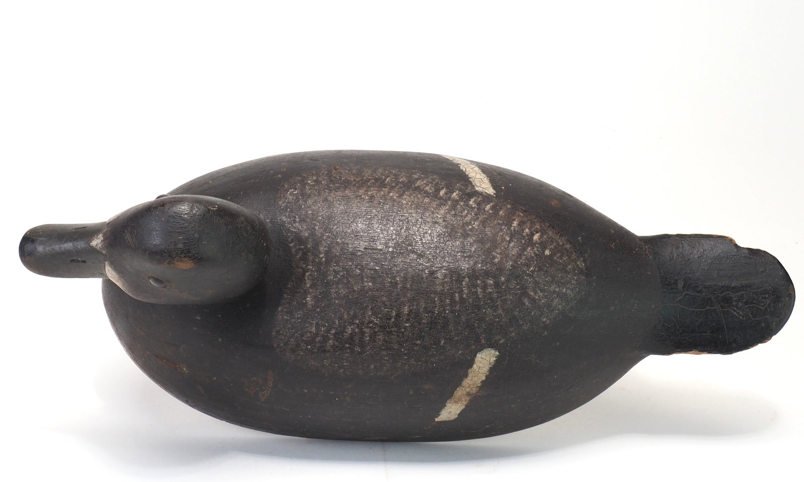 Robert Norman - Blue Bill Hen - 5