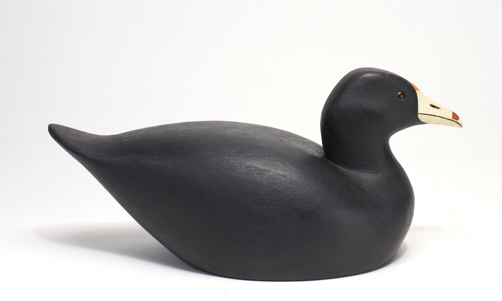 Ernie Fox - Coot - 3