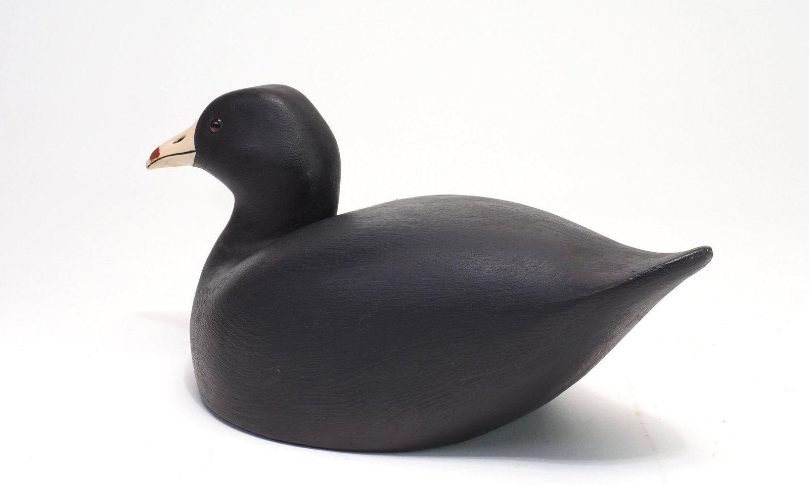 Ernie Fox - Coot - 4