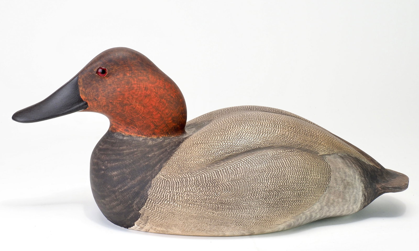 John B. Garton - Canvasback Drake (1 of 7)