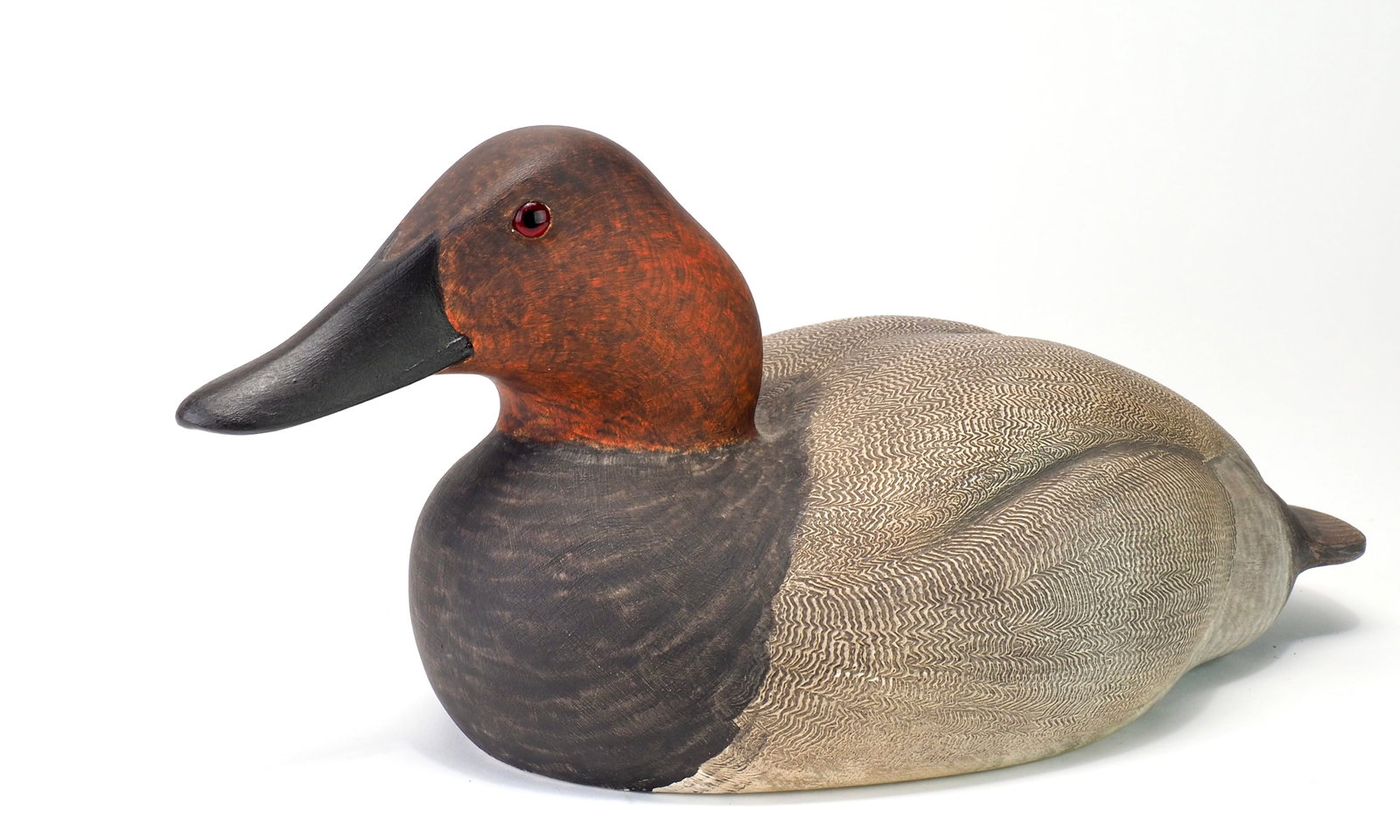 John B. Garton - Canvasback Drake - 2