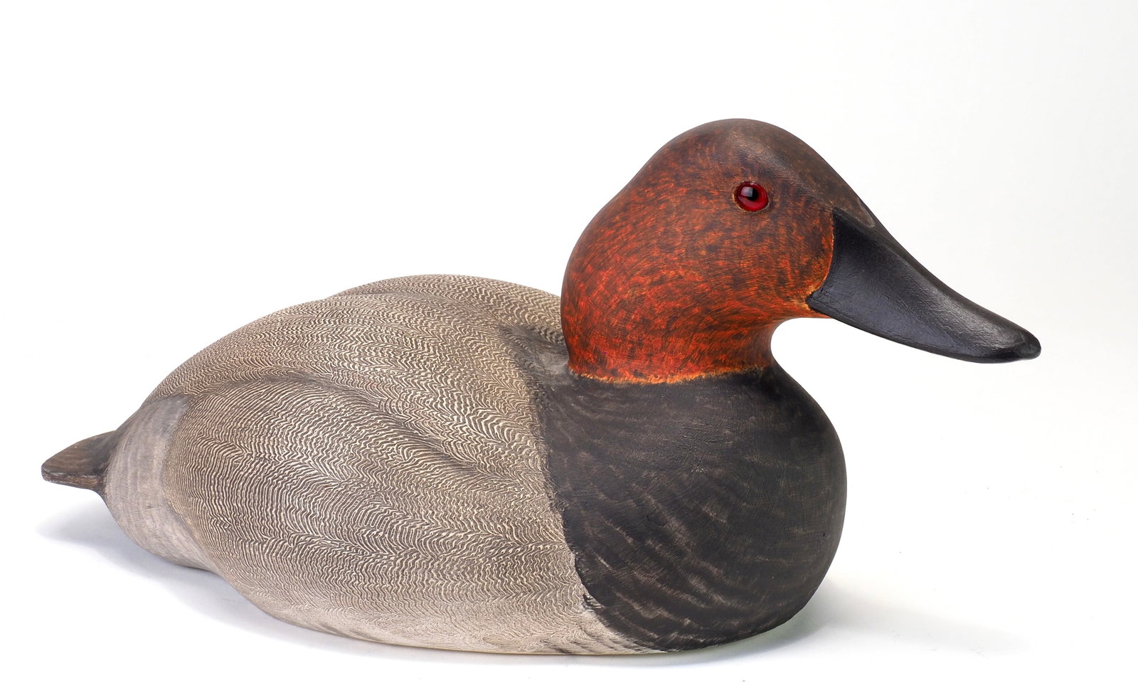 John B. Garton - Canvasback Drake - 3