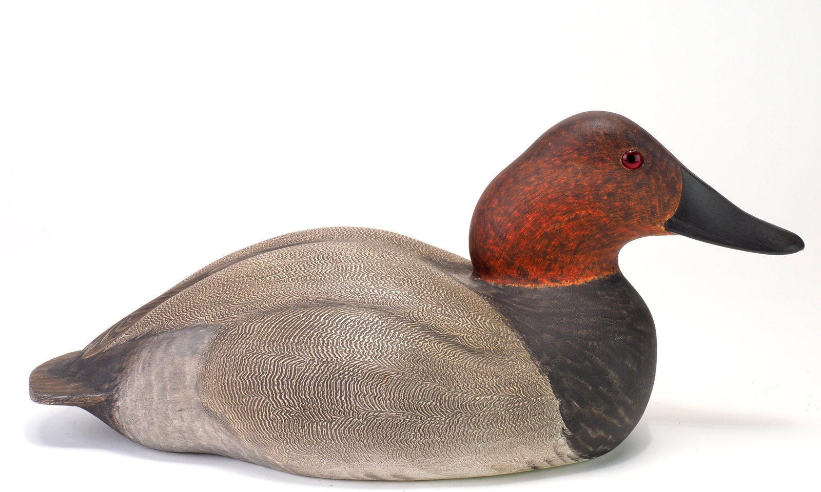 John B. Garton - Canvasback Drake - 4