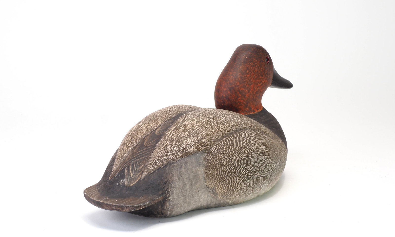 John B. Garton - Canvasback Drake - 5