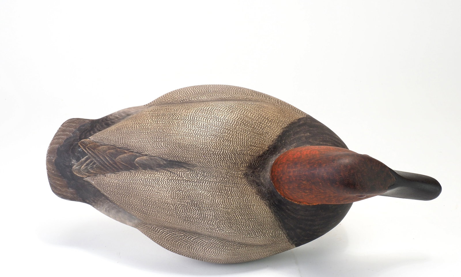 John B. Garton - Canvasback Drake - 6