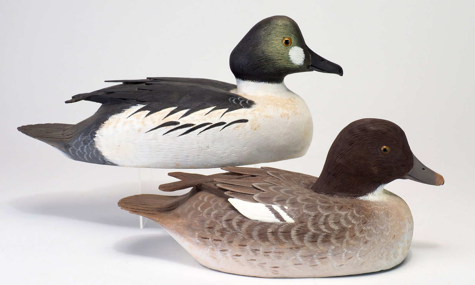 Reg Bloom - Decorative Goldeneye Pair - 2