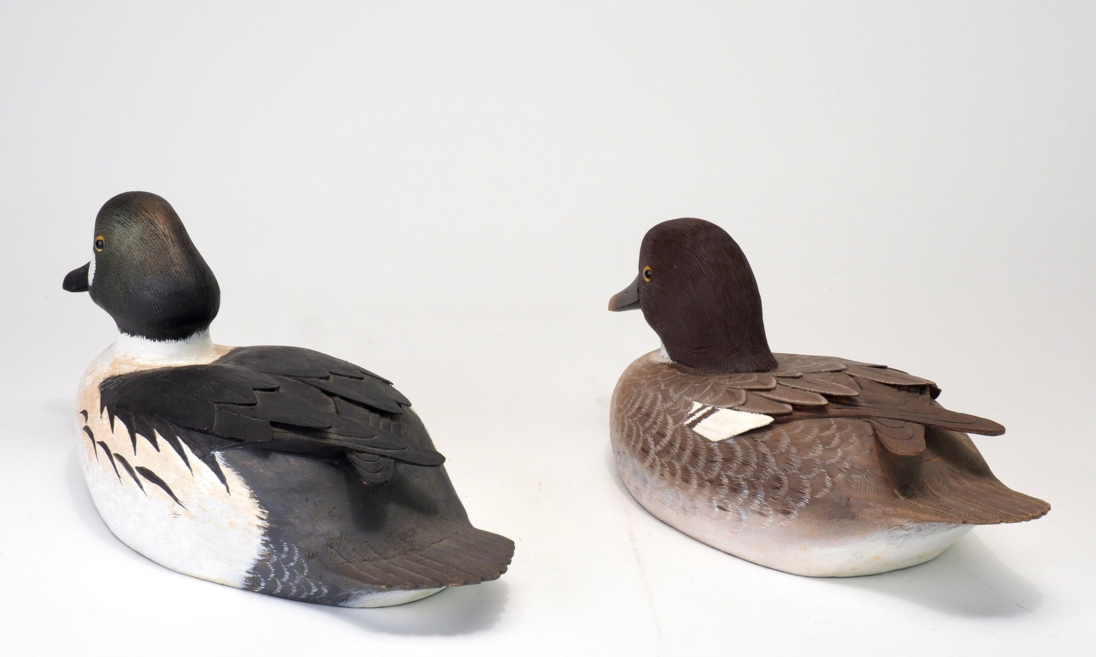 Reg Bloom - Decorative Goldeneye Pair - 4