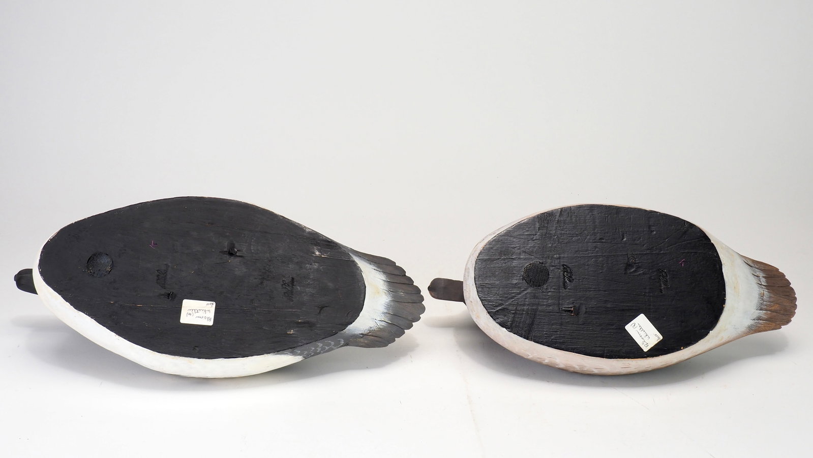 Reg Bloom - Decorative Goldeneye Pair - 5