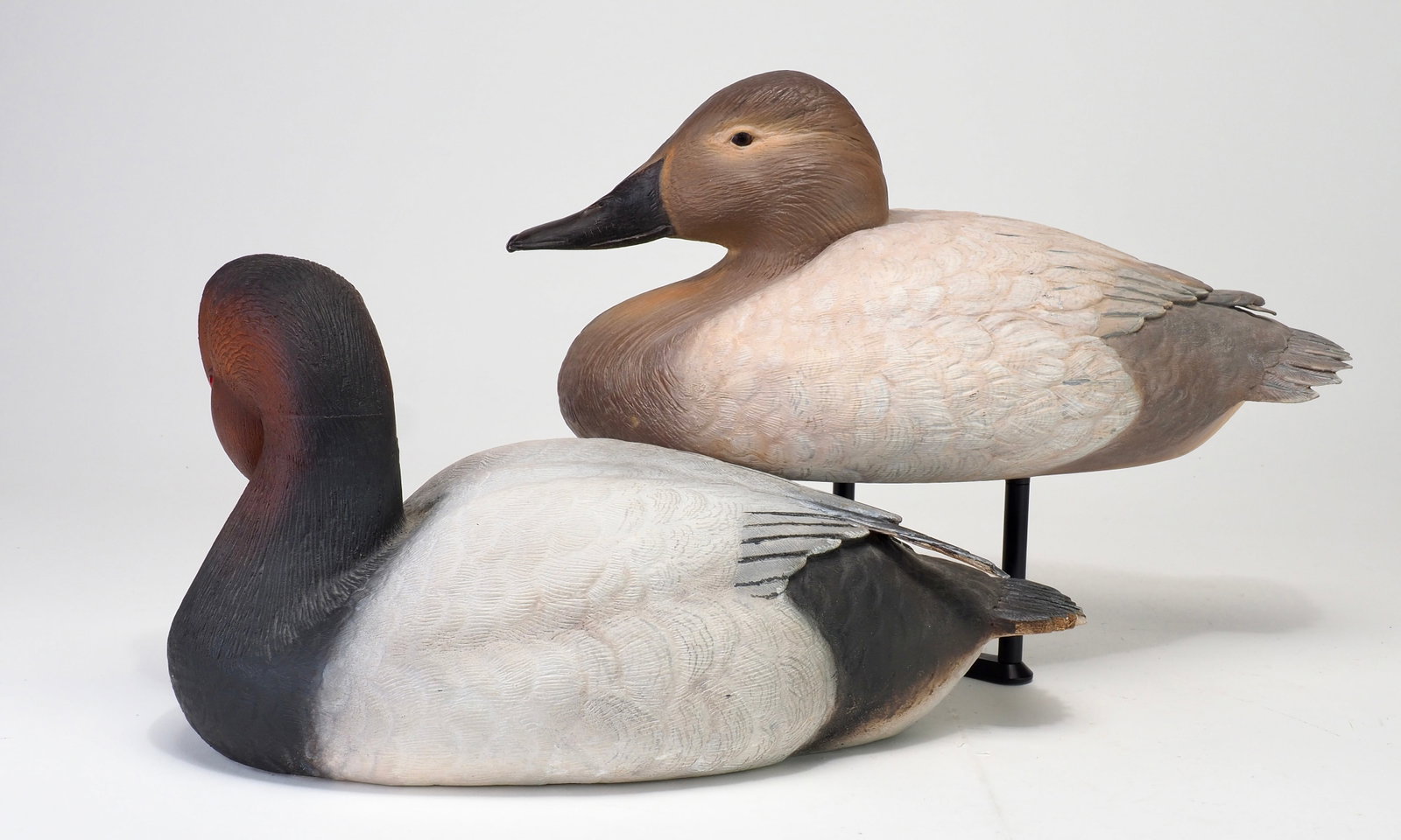Jon Foster - Canvasback Pair - 2