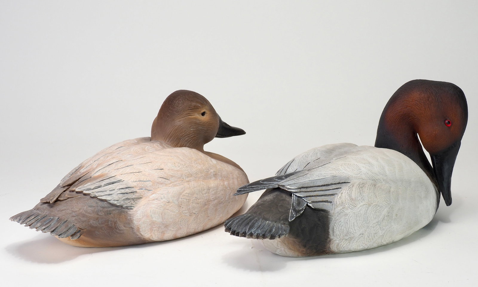 Jon Foster - Canvasback Pair - 4