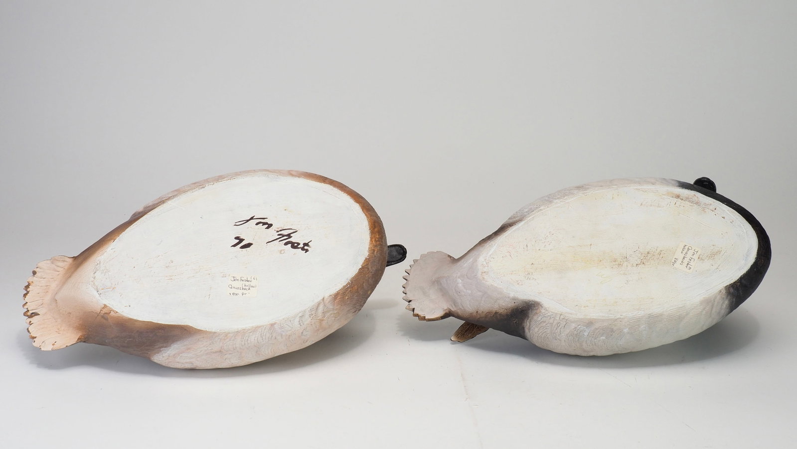 Jon Foster - Canvasback Pair - 5
