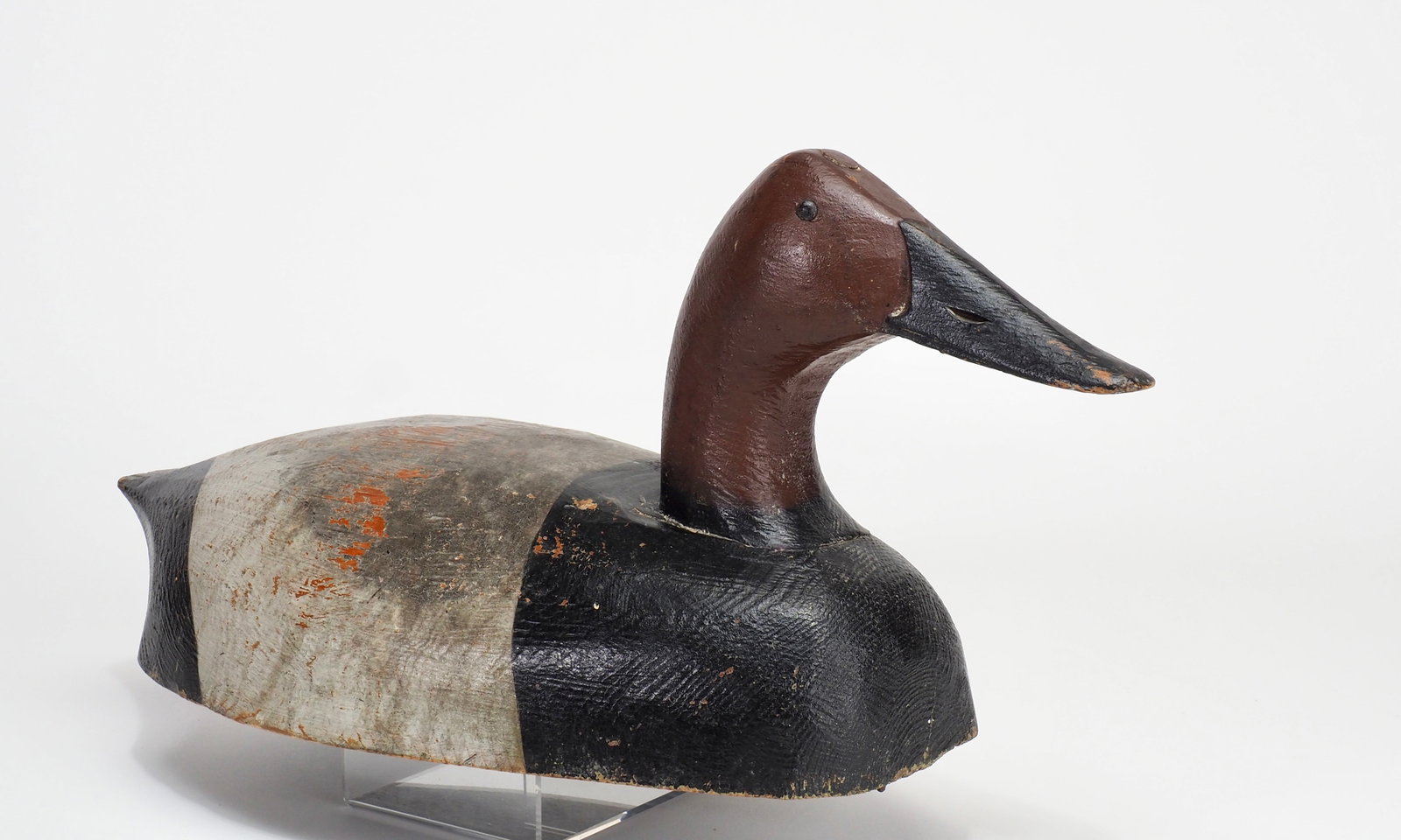 Fred Harris - Canvasback Drake - 2