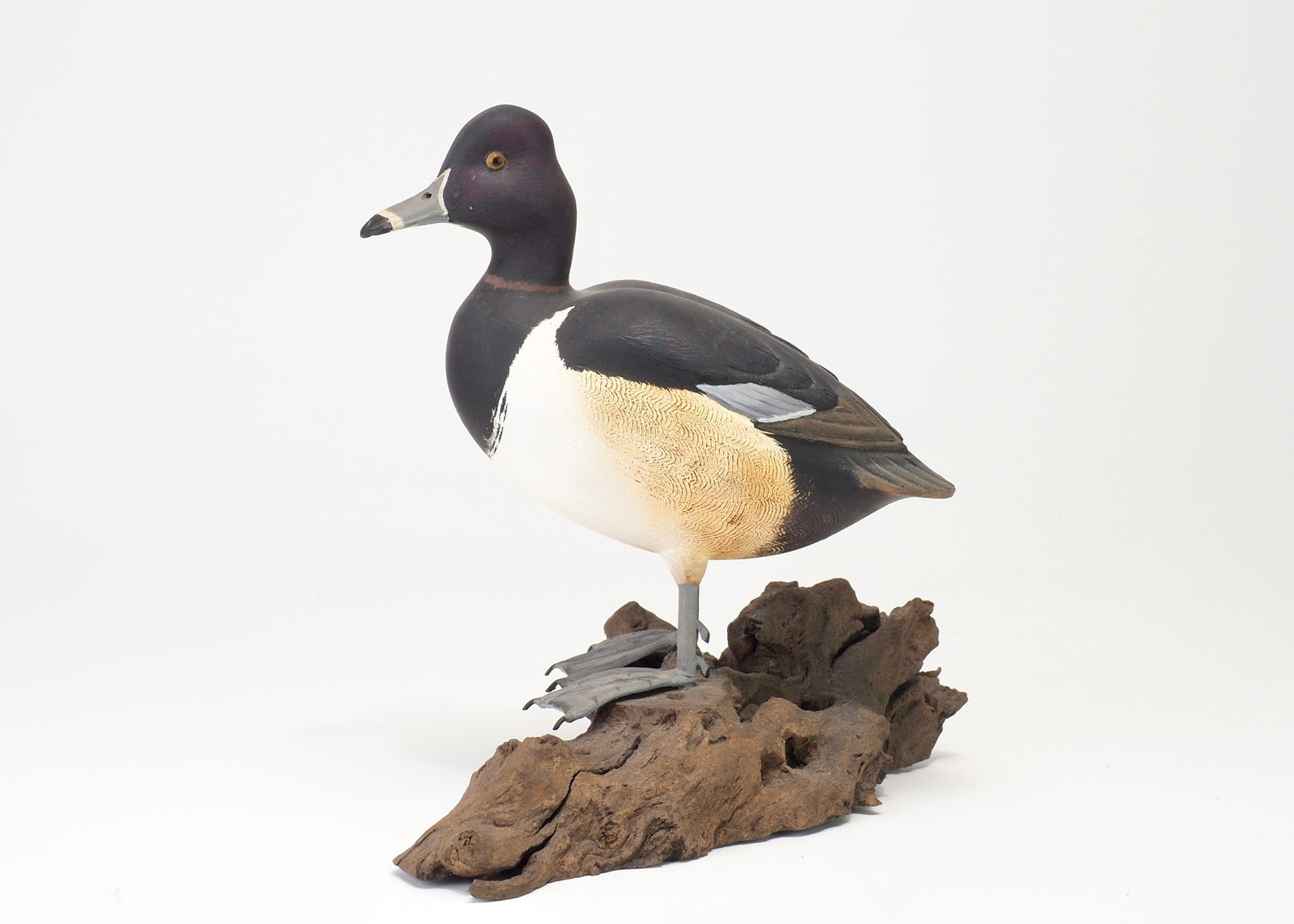 John Sharon - 1/3 Ringbill Pair - 5