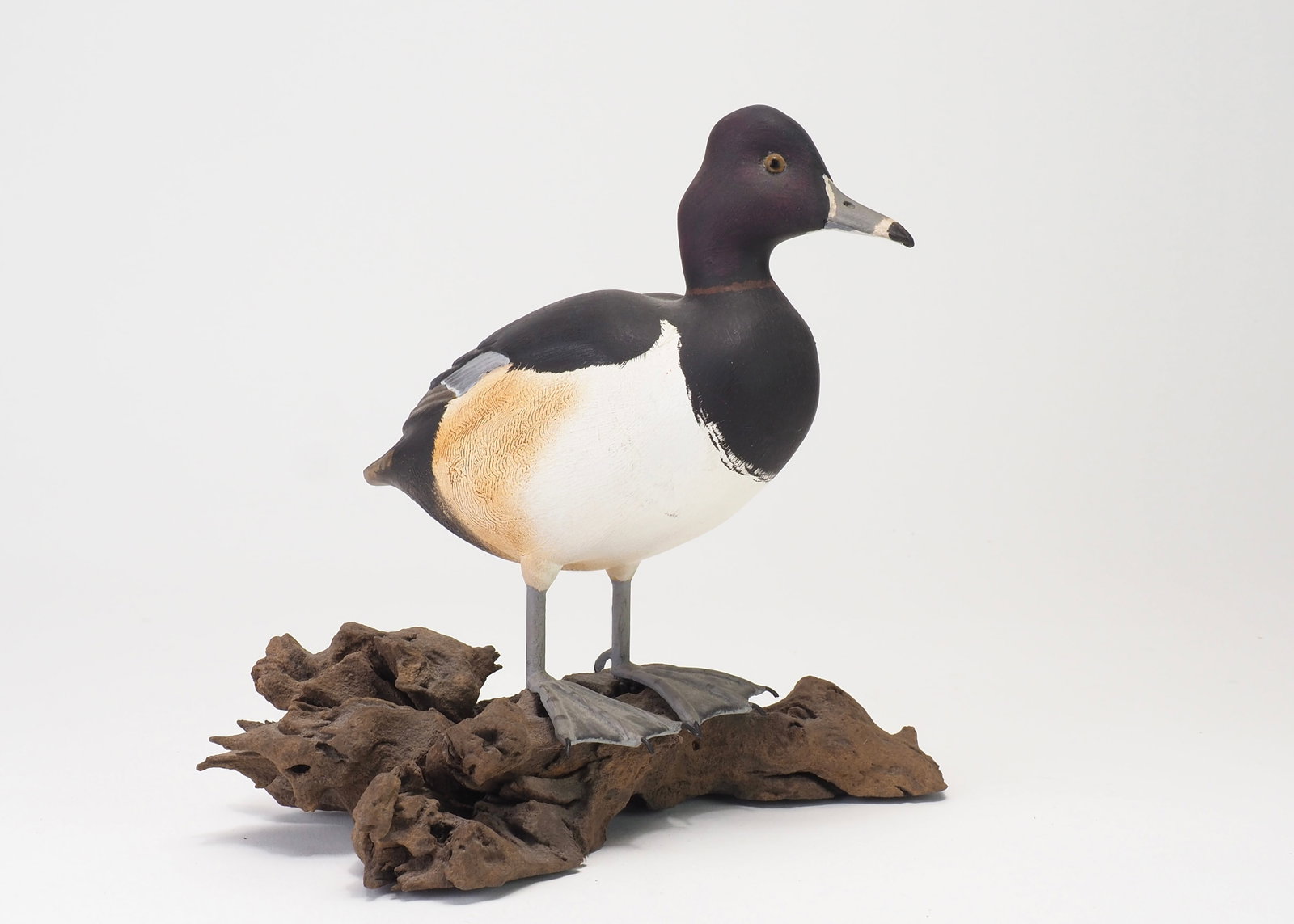 John Sharon - 1/3 Ringbill Pair - 6