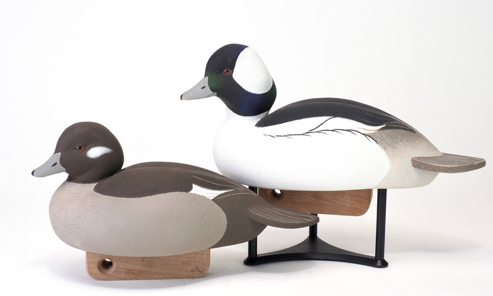 Luke Costilow - Bufflehead Pair (1 of 5)