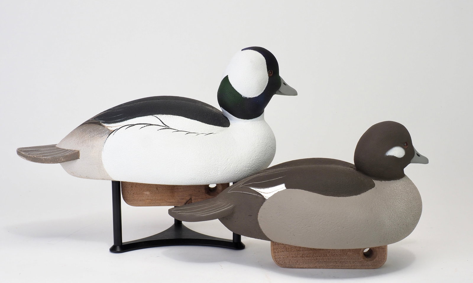 Luke Costilow - Bufflehead Pair - 2