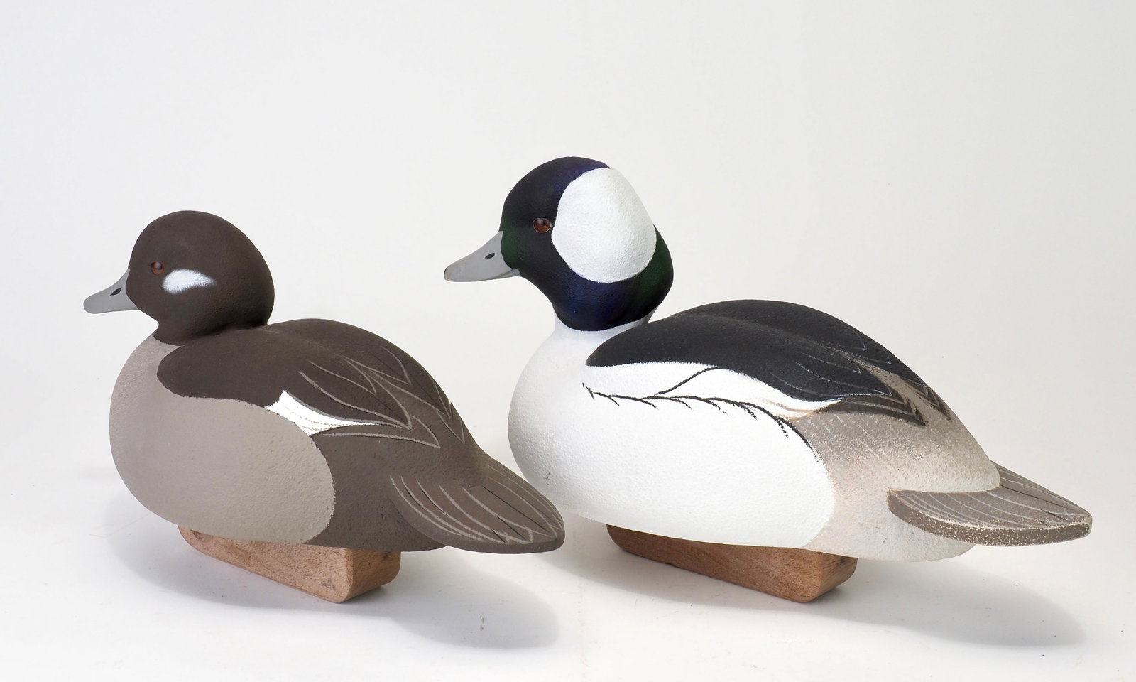Luke Costilow - Bufflehead Pair - 4