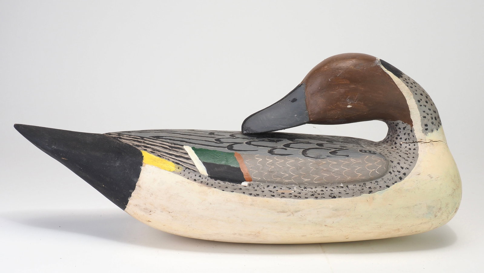 Jules E Frederick - Preening Pintail Drake - 3