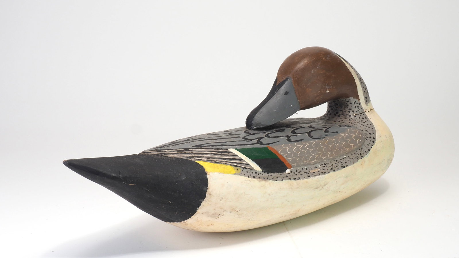 Jules E Frederick - Preening Pintail Drake - 4