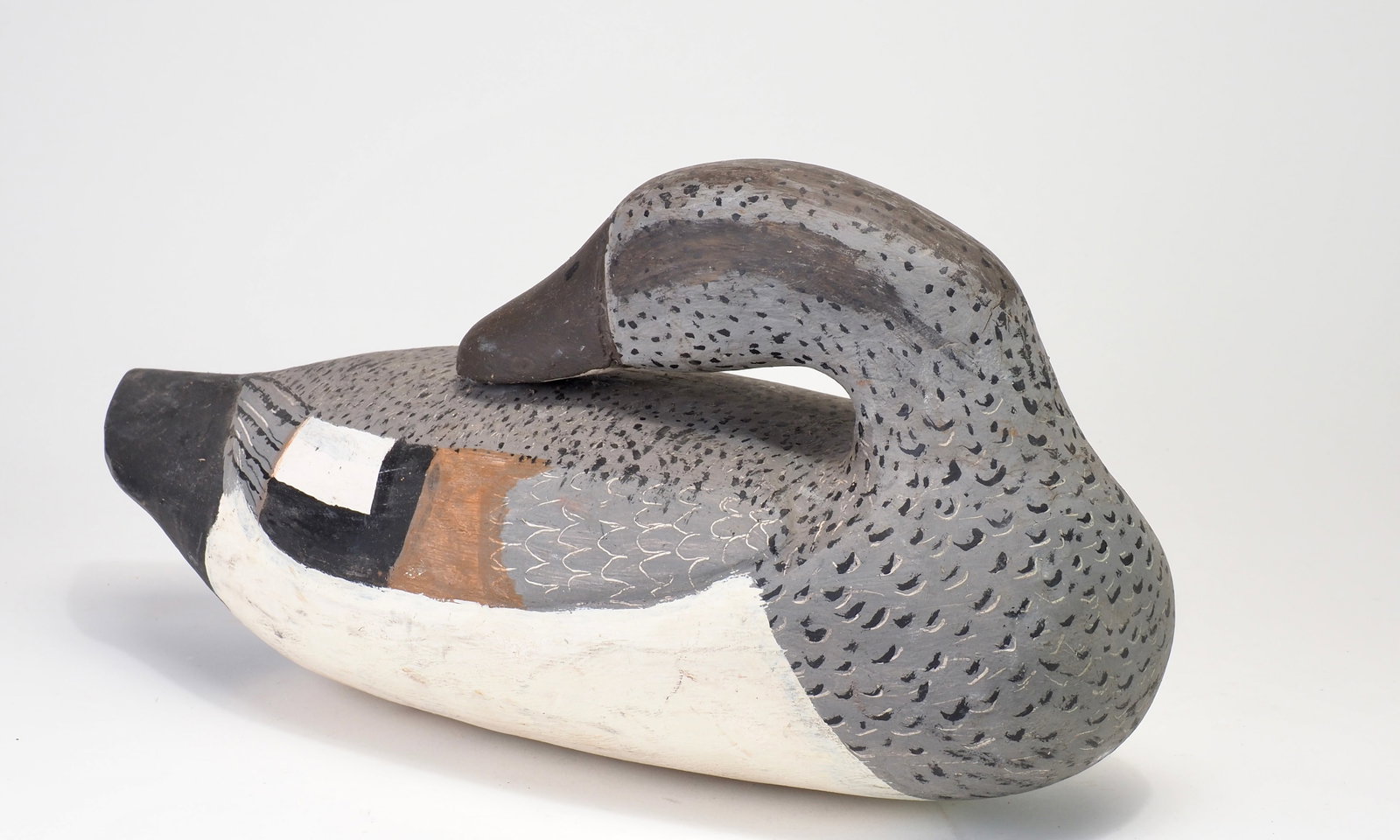 Jules E Frederick - Preening Gadwall Drake - 2