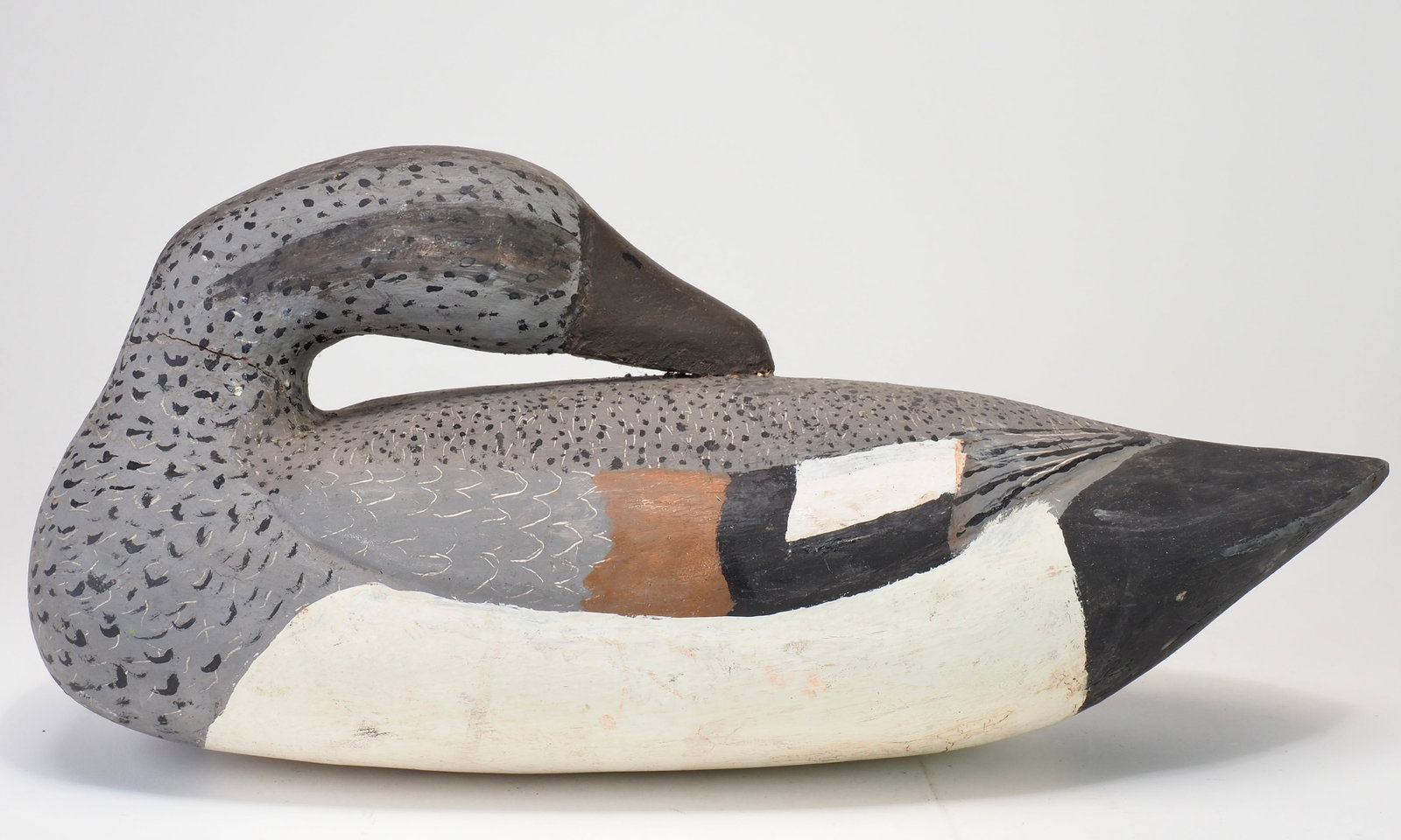 Jules E Frederick - Preening Gadwall Drake - 3