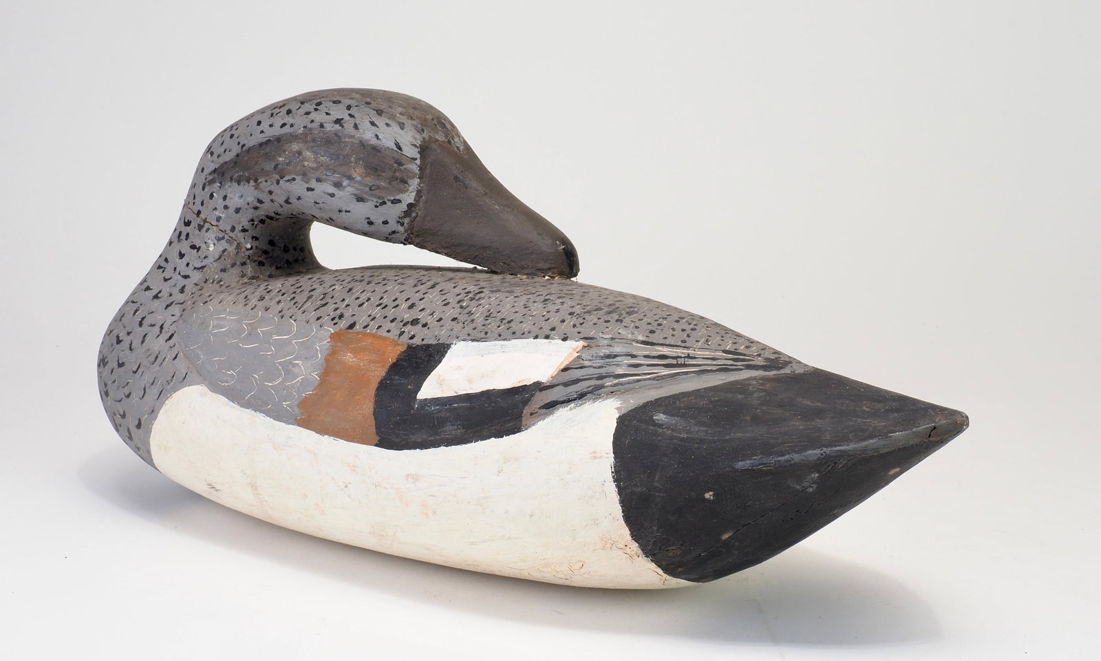 Jules E Frederick - Preening Gadwall Drake - 4