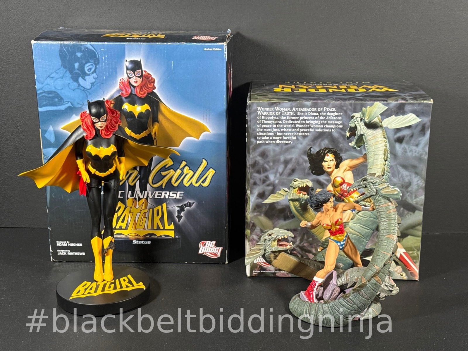 Batgirl & Wonder Woman Statues (1 of 20)