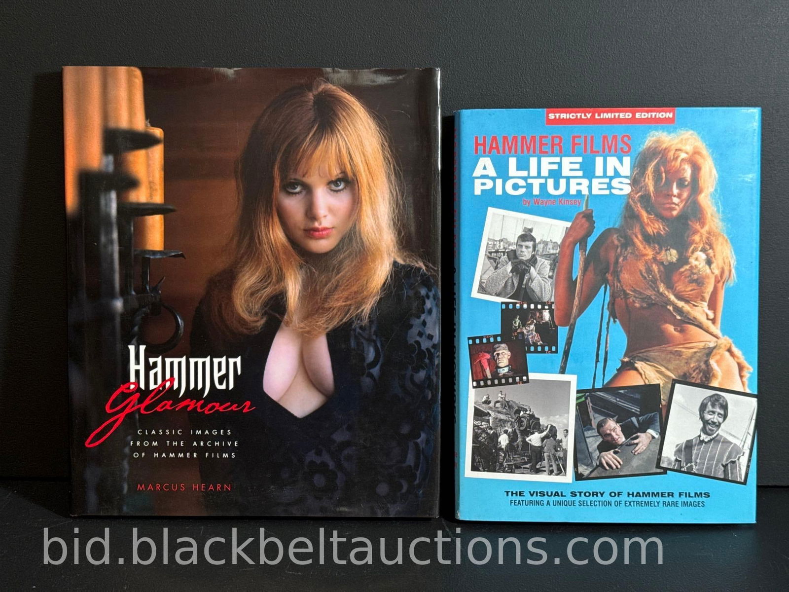 Two Hammer Pictures Books (1 of 15)