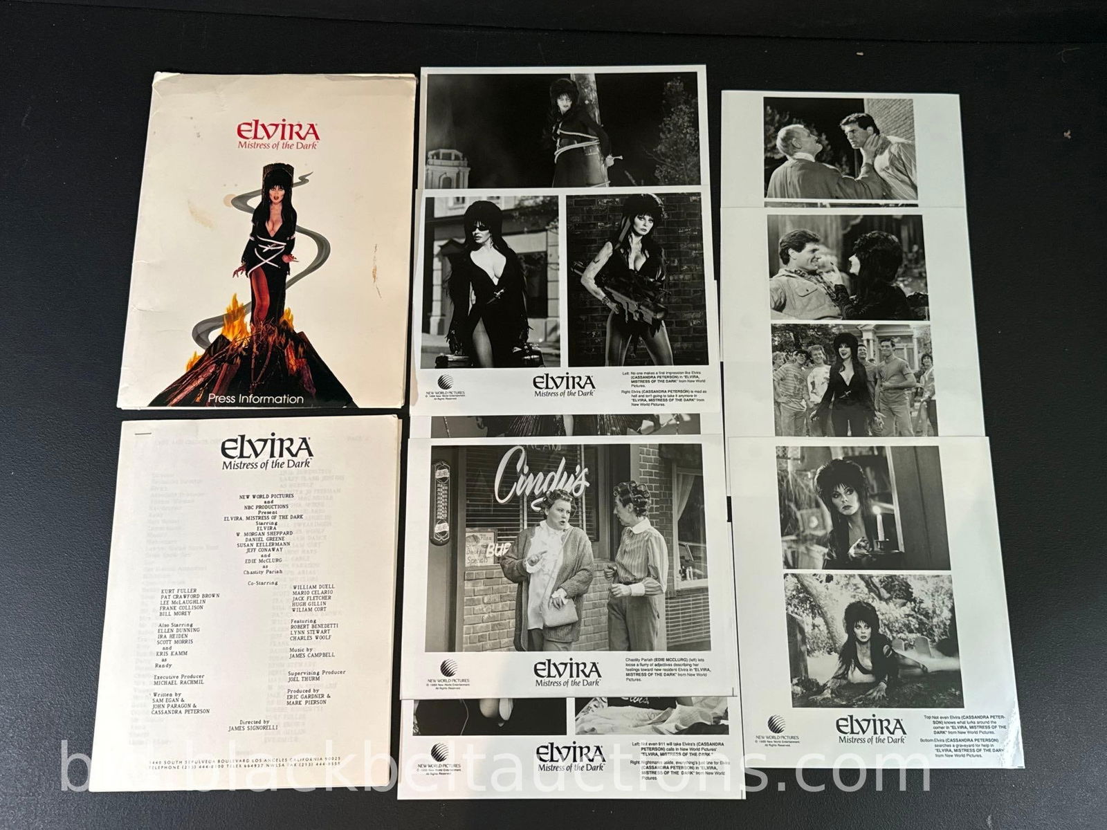 “Elvira Mistress of the Dark” Press Kit (1 of 10)