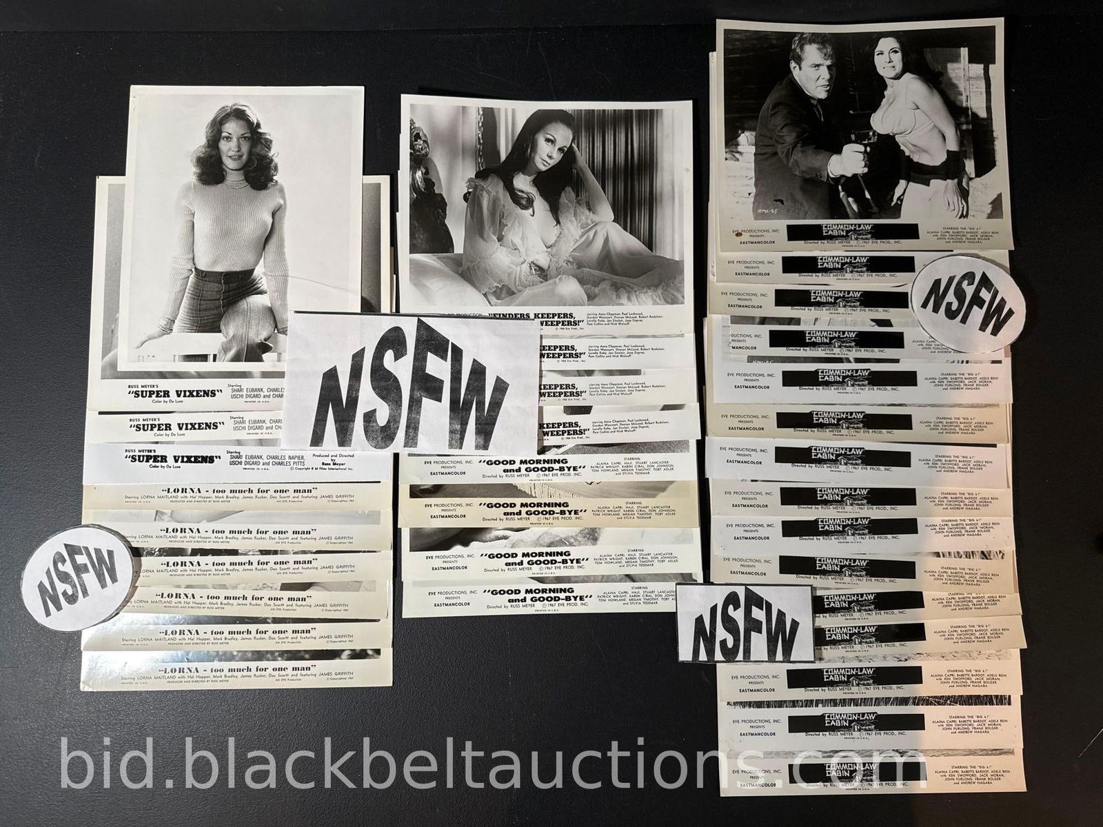 34 Russ Meyer Movie Stills (1 of 19)