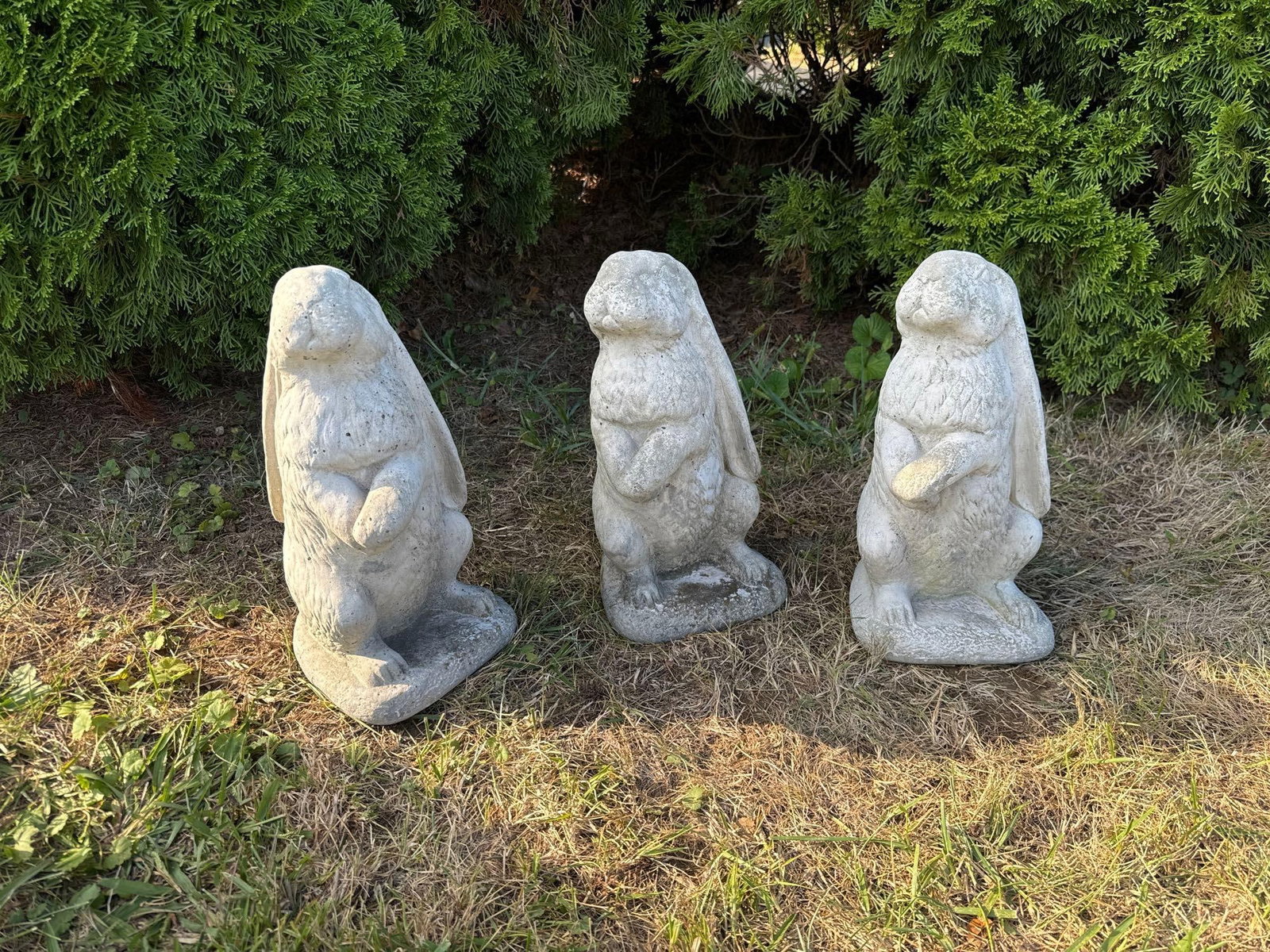 Hopping Trio: Set of 3 Garden Rabbits (1 of 8)