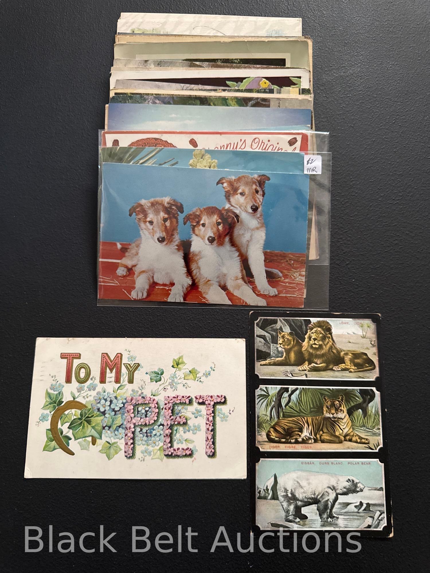 52 Assorted Vintage Post Cards (1 of 16)