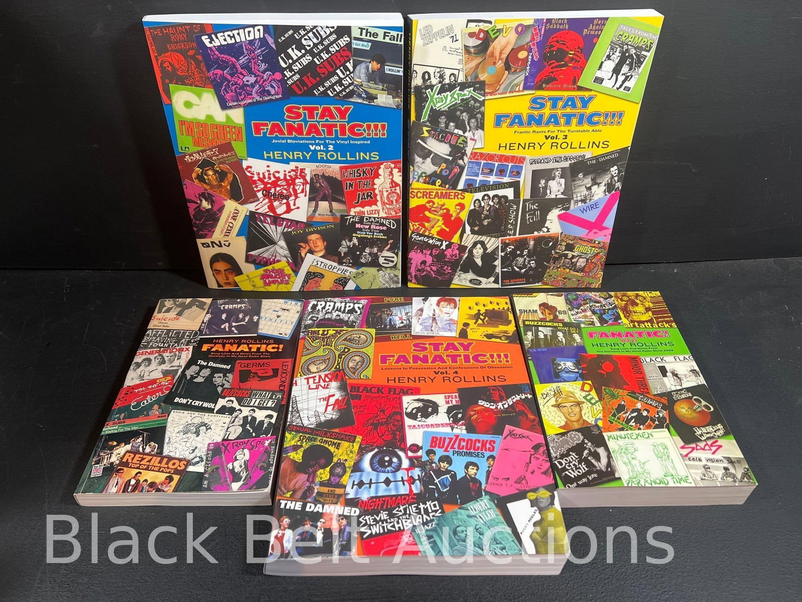 “Fanatic! Vols 1-3” & “Stay Fanatic!!! Vols 2-4” Rollins (1 of 20)