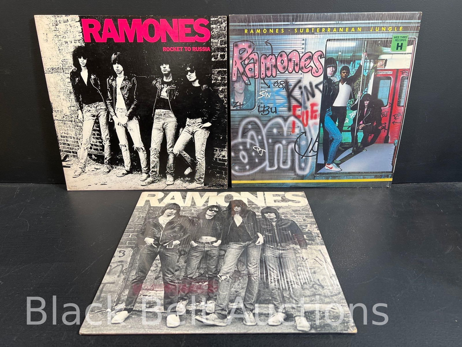 Three Ramones Vinyl Records (1 of 20)