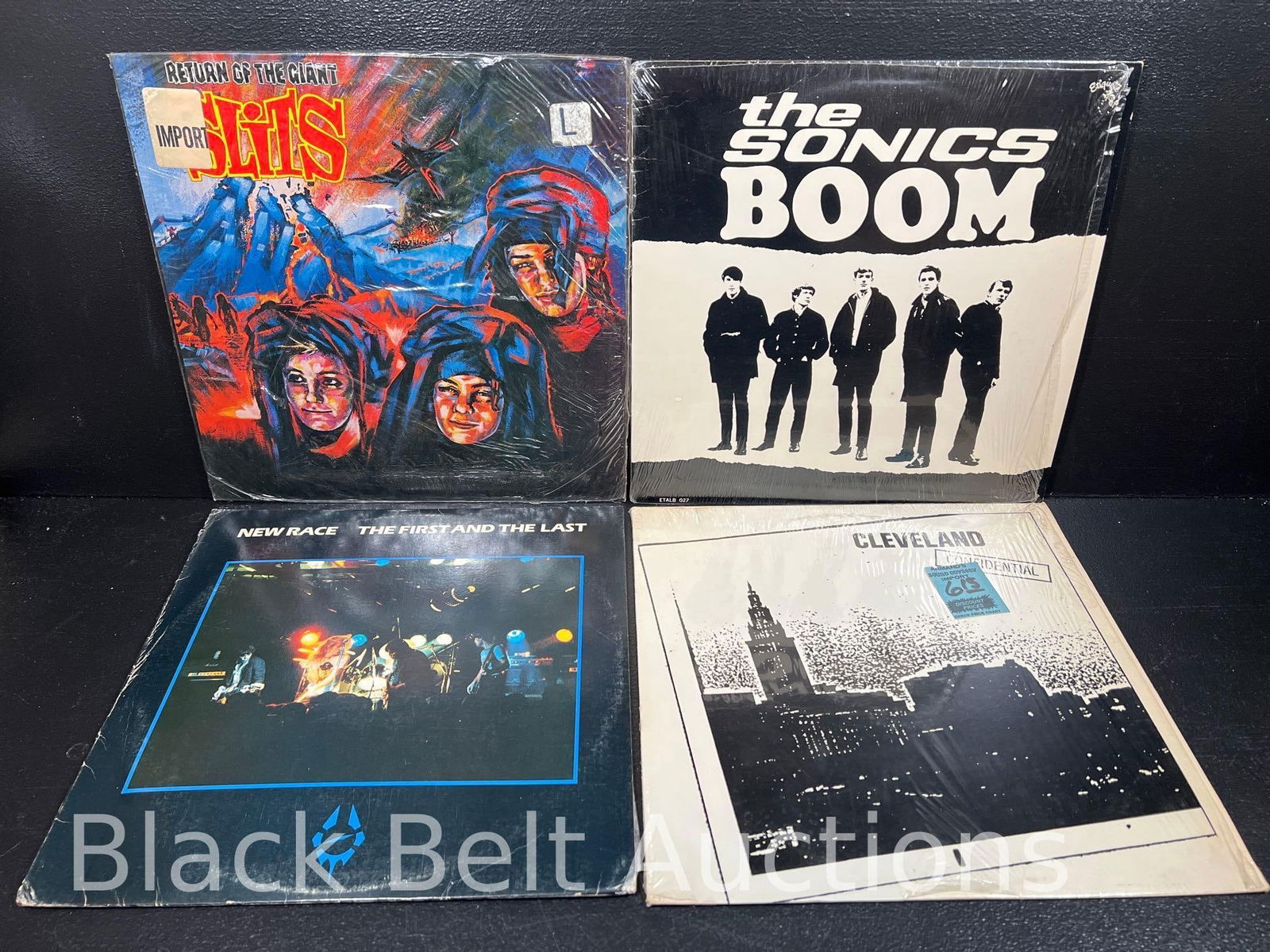 Four Vintage Vinyl Punk Garage Band Records (1 of 20)