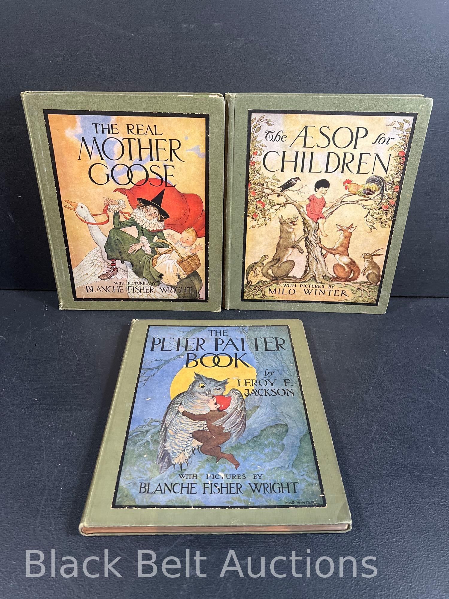 Three Vintage Children's Books Color Illustrations (1 of 20)