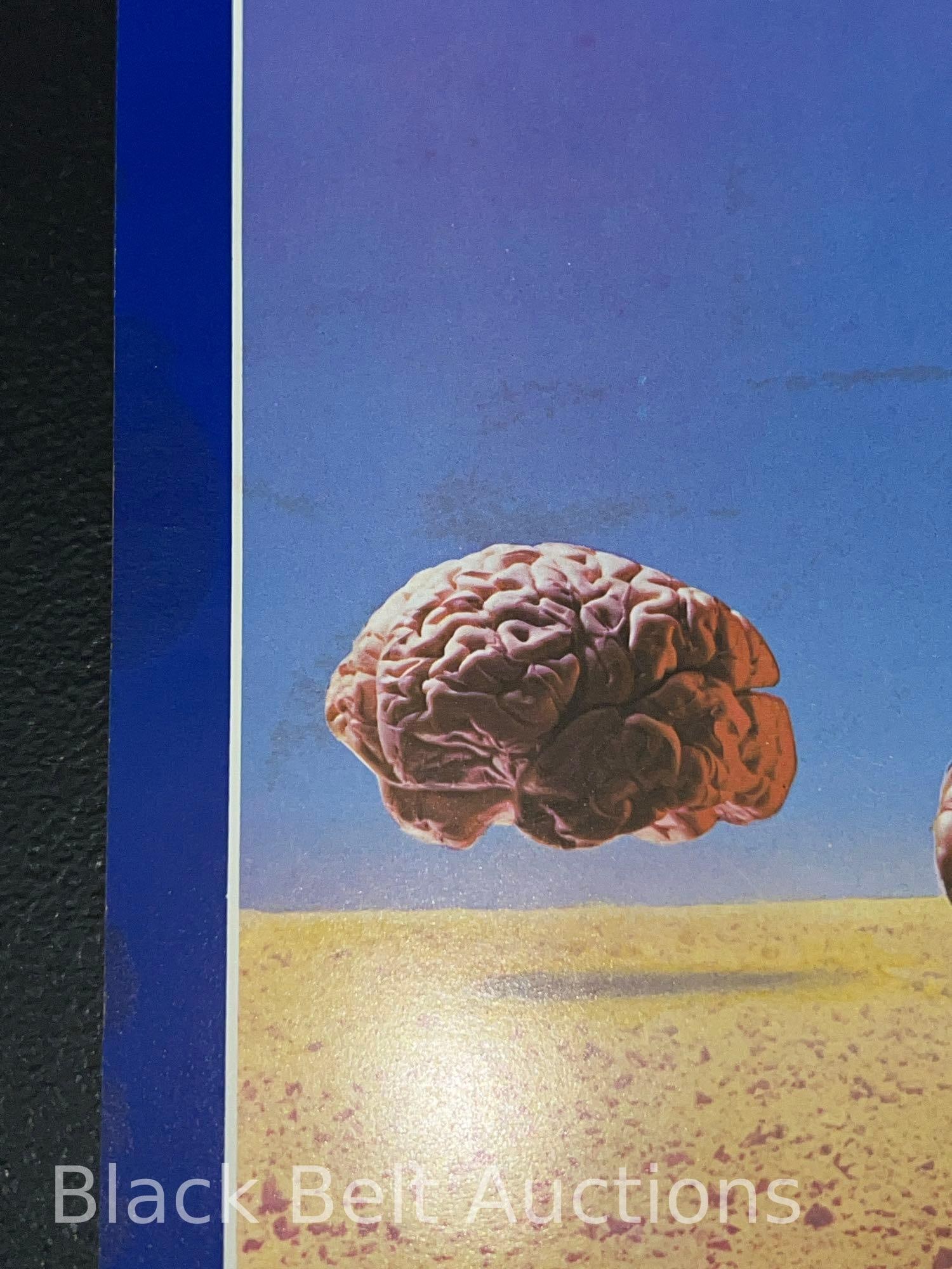 Rush and Triumph Concert Programs or Tour Books - 8