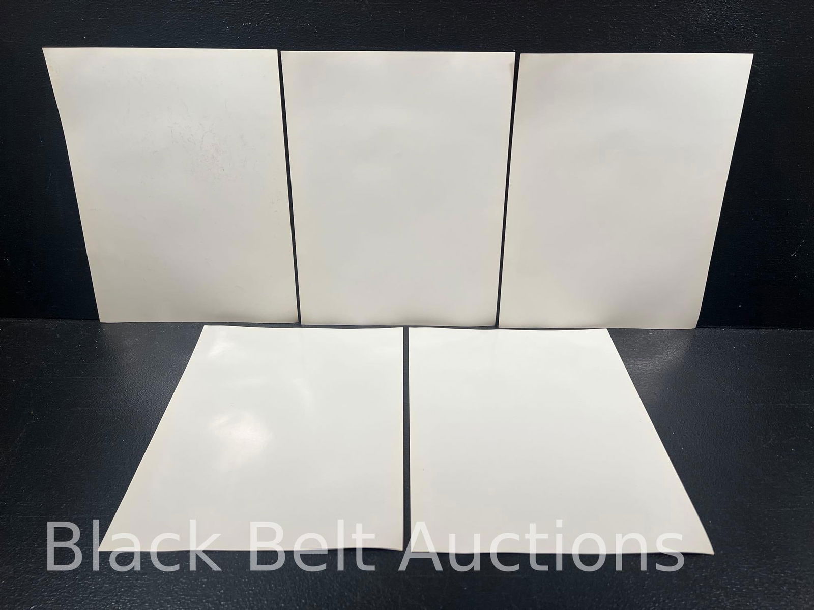 Twelve Anthrax "Volume 8" Mini Posters - 3