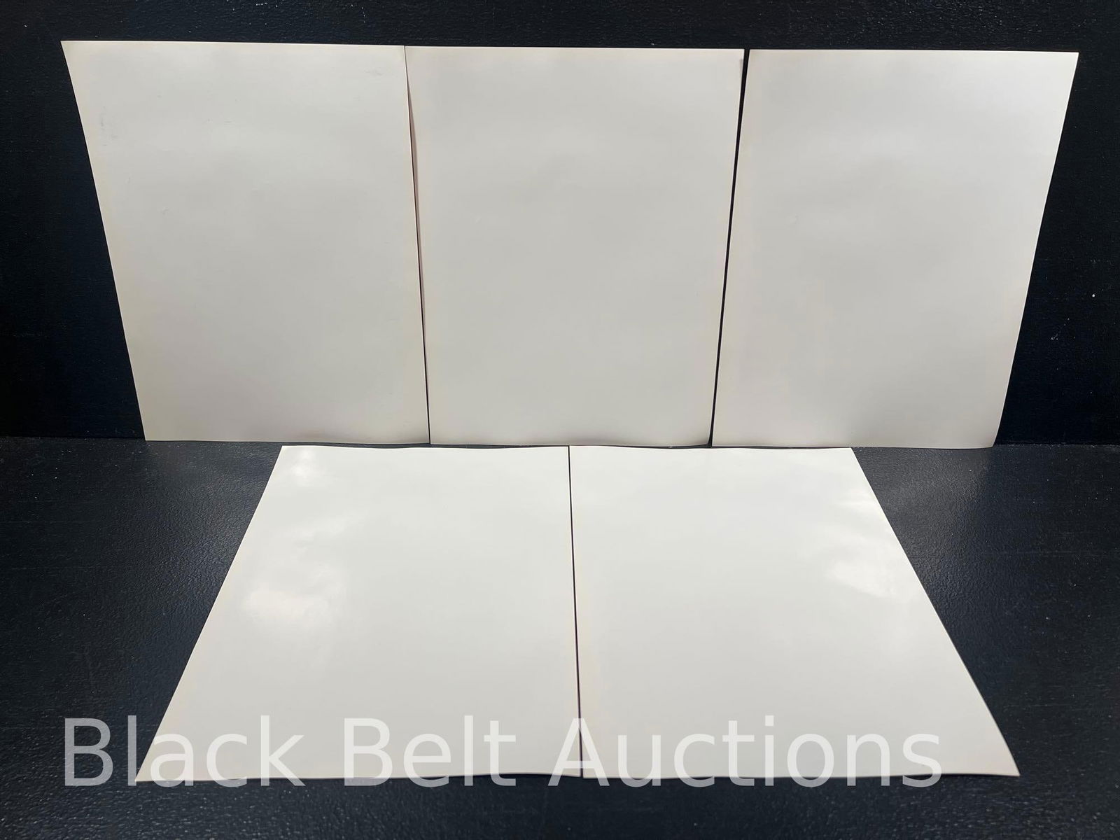 Twelve Anthrax "Volume 8" Mini Posters - 5