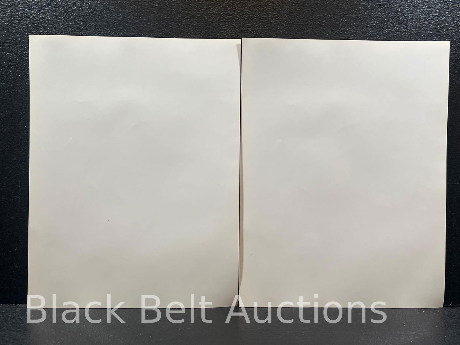 Twelve Anthrax "Volume 8" Mini Posters - 7